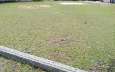 Terrain de 600 m2 à vendre sur Tamatave