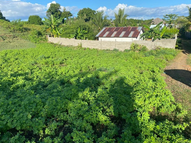 TERRAIN A VENDRE AVEC MAISON SUR NOSY BE